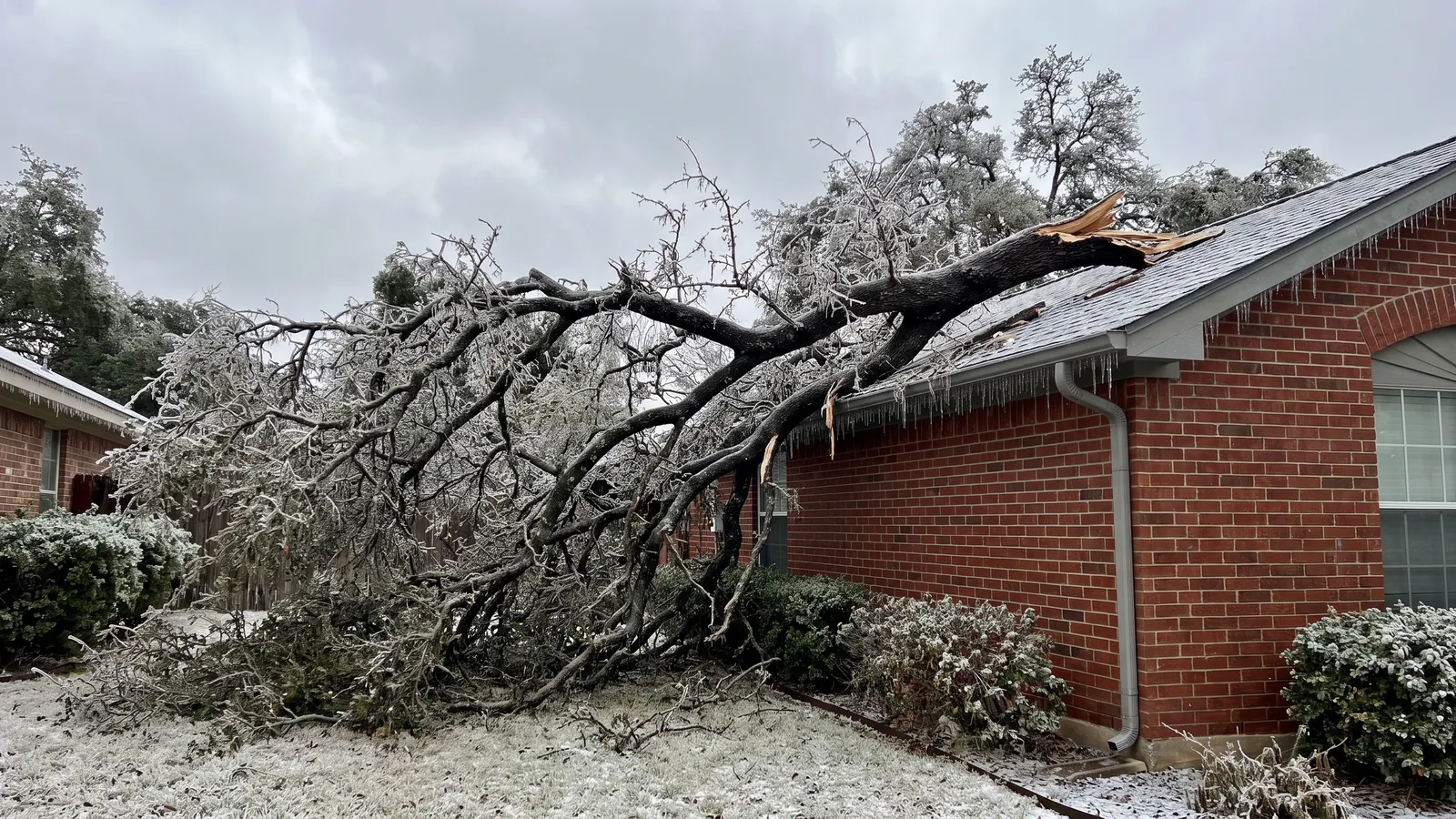 Ice-coated live oak limb broken and resting on a shingle roof after a winter storm in Austin, icicles along the gutter